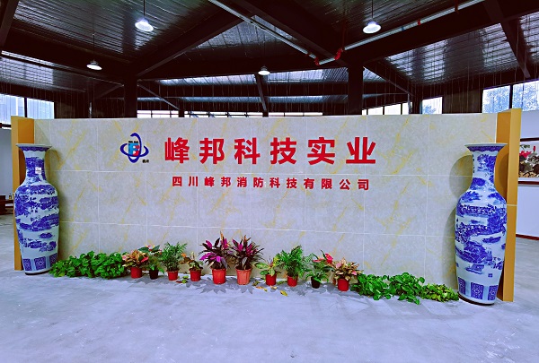 �Ĵ�����羺������������չʾ