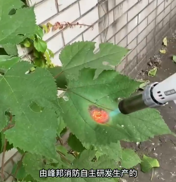 ���߷������������ȼ������������Ƶ