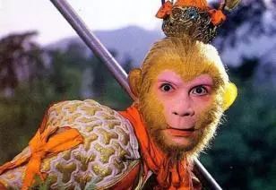 ����ս�����¯�����뷲����ͨ�췿����������